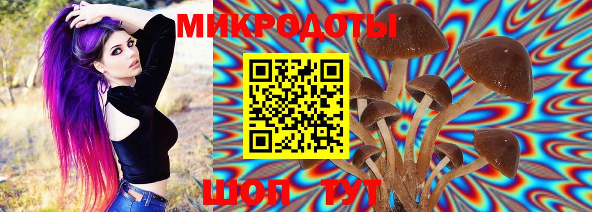 Дзержинск  Галлюциногенные грибы MAGIC MUSHROOMS  Вход с VPN  Псилоцибиновые грибы Magic Shrooms 